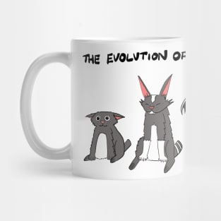 Evolution of my cat. Mug